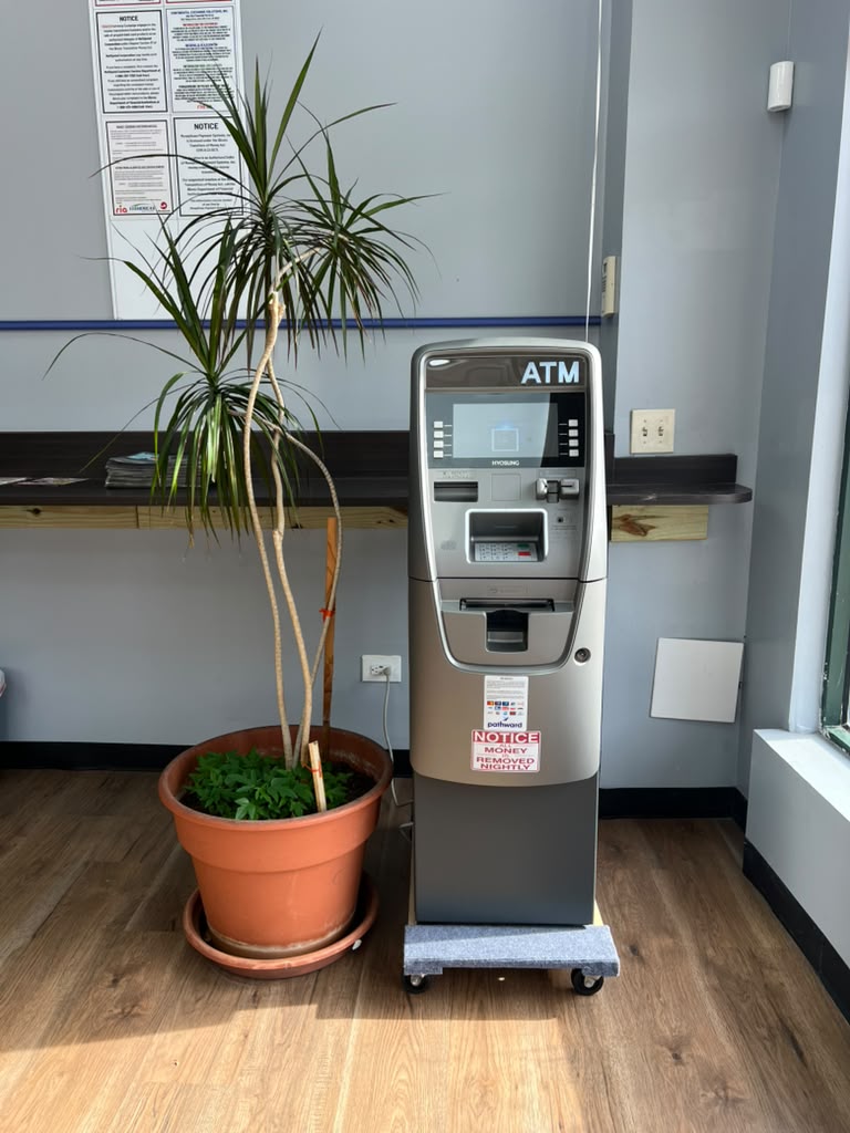 ATM in the bright customer lobby next to a large plant